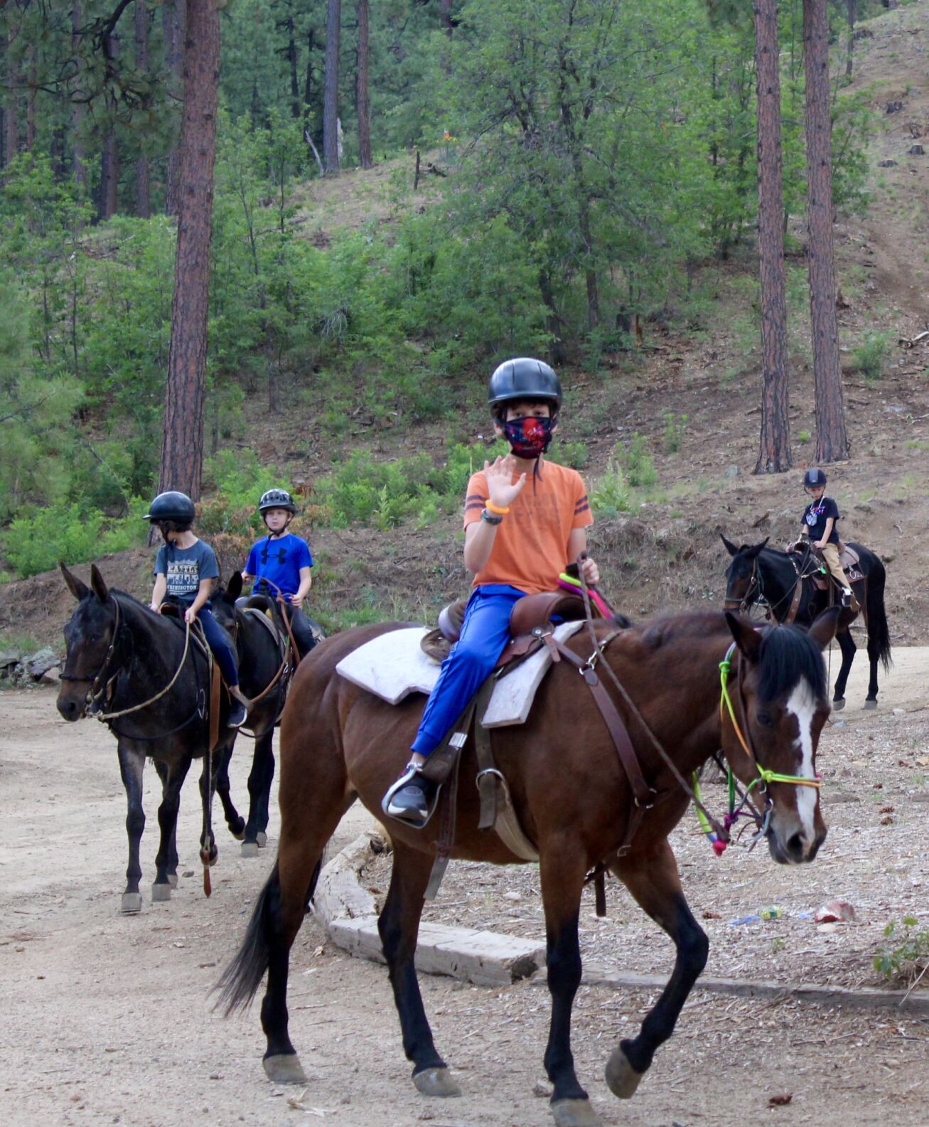 horses